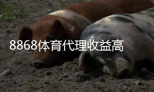 8868体育代理收益高吗？真实佣金、成本与月入预估全面解析