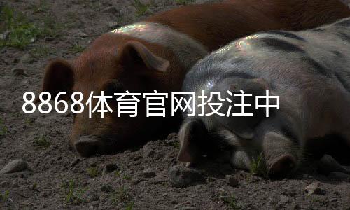 8868体育官网投注中心新手指南：注册、充值、安全与热门玩法详解