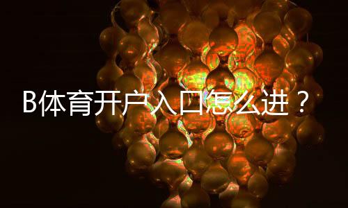 B体育开户入口怎么进?新手注册流程与安全验证全攻略