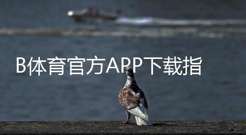 B体育官方APP下载指南:安卓苹果最新版安装、账号注册与安全验证全流程