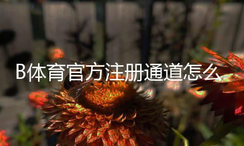 B体育官方注册通道怎么注册?官网步骤、实名认证与安全注意事项