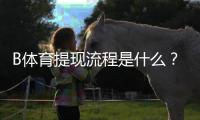 B体育提现流程是什么？一步步教你快速提现、到账时间与常见问题解答