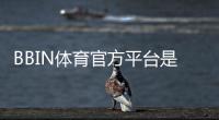 BBIN体育官方平台是什么？新手注册、存取款与玩法安全详解