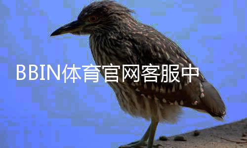 BBIN体育官网客服中心怎么联系客服？在线客服流程、常见问题与投诉处理详解