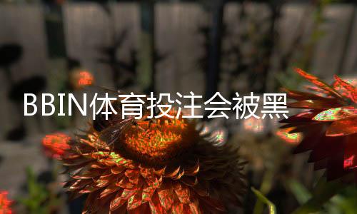 BBIN体育投注会被黑吗?全面解读安全性、常见风险与防骗指南
