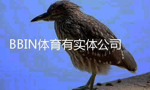 BBIN体育有实体公司吗？真相揭秘、注册地址与合法性解析