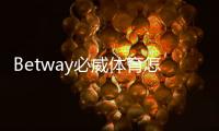 Betway必威体育怎么下载？安卓iOS手机安装图文教程与安全设置