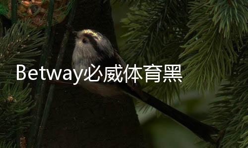 Betway必威体育黑网吗？真相调查、用户评价与安全性全面解析
