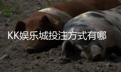 KK娱乐城投注方式有哪些?详解主流玩法与特色下注技巧