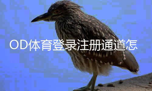OD体育登录注册通道怎么进？新手详细注册与登录步骤图文教程