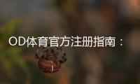 OD体育官方注册指南：官网开户步骤、实名认证与安全设置详解