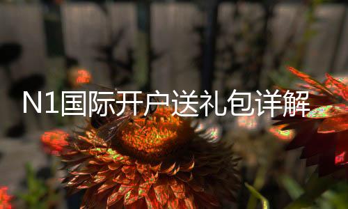 N1国际开户送礼包详解：注册流程、礼包内容与领取攻略