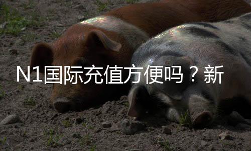 N1国际充值方便吗?新手充值流程、支付方式与常见问题详解