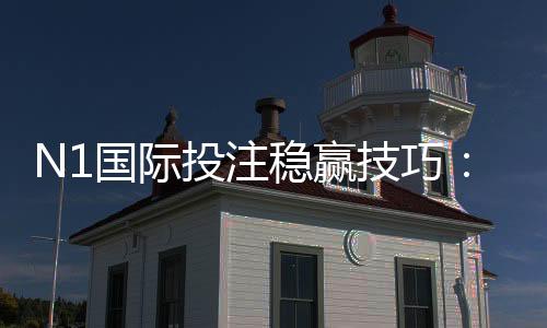 N1国际投注稳赢技巧：新手必学策略、资金管理与实战案例全攻略