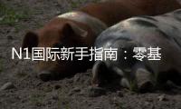 N1国际新手指南：零基础注册、玩法规则与快速上手攻略