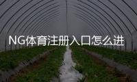 NG体育注册入口怎么进？最新版注册流程、注意事项与新手指南