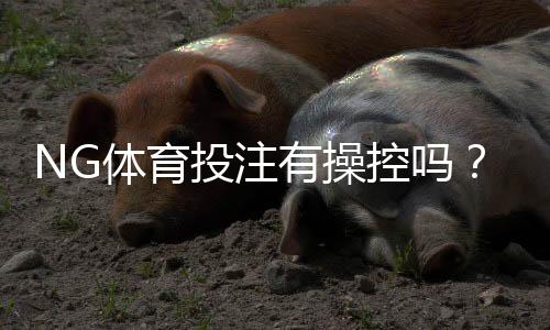 NG体育投注有操控吗?真实玩家评价、投诉案例与风险防范全解析