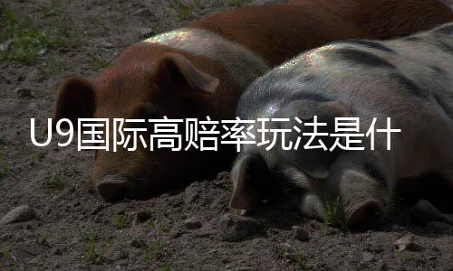U9国际高赔率玩法是什么意思？新手入门与实战技巧详解