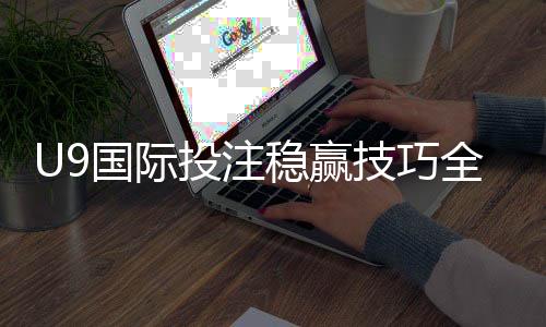 U9国际投注稳赢技巧全解析:新手必看风险提示与实战提升策略