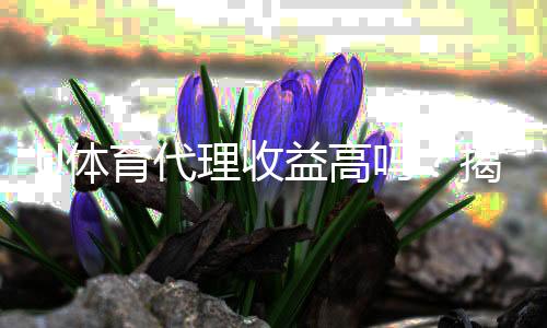 U体育代理收益高吗？揭秘高收益背后的真实情况