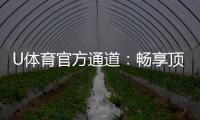 U体育官方通道：畅享顶级赛事投注与电子游艺体验