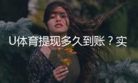 U体育提现多久到账？实测到账时效与提款技巧分享