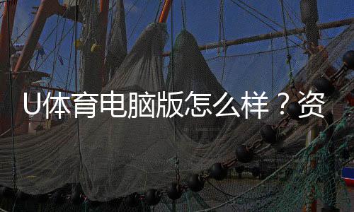 U体育电脑版怎么样?资深玩家体验评测与实战技巧分享