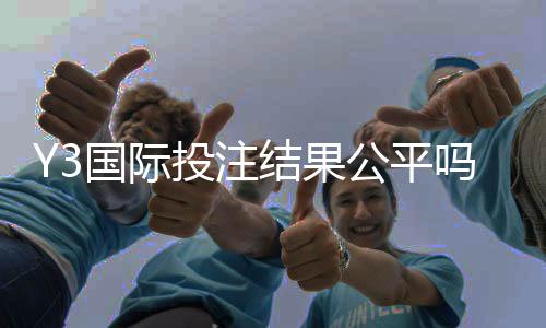Y3国际投注结果公平吗?公平性详解与用户评测