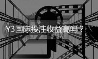 Y3国际投注收益高吗？真实回报、风险分析与新手投资策略