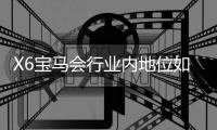 X6宝马会行业内地位如何？深度解析其市场影响力与玩家口碑