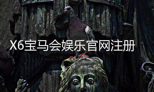 X6宝马会娱乐官网注册入口：畅享豪华游戏体验与独家注册福利