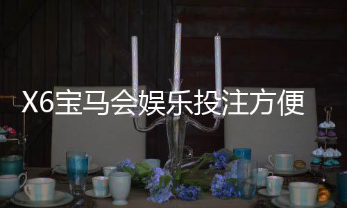 X6宝马会娱乐投注方便吗？资深玩家实测存取款与游戏体验