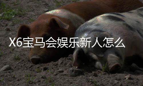 X6宝马会娱乐新人怎么领福利?超全福利领取攻略助你轻松开局