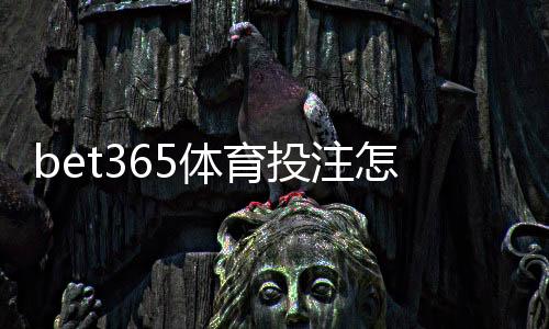 bet365体育投注怎么玩?新手入门、注册充值与常见玩法全面教学