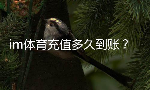 im体育充值多久到账?实测到账时间与快速入款技巧