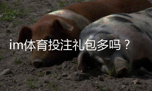 im体育投注礼包多吗?揭秘平台福利与实战领取攻略
