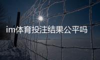 im体育投注结果公平吗？深度解析平台公正性与玩家验证方法
