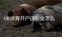 i米体育开户送彩金怎么领？新手注册教程、领取步骤与安全注意事项