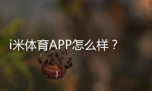 i米体育APP怎么样?功能评测、使用体验与安全性全面解析
