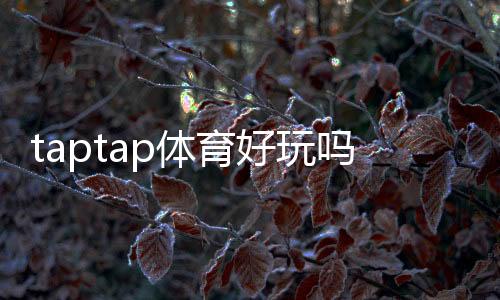 taptap体育好玩吗？实测玩法体验、优缺点解析与新手入门指南